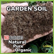 1kg Pure Garden Soil Organic Natural No Fertilizer lupa pang halaman for Plants Tarantula Beddings