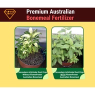 Premium Australian Bone Meal Fertilizer[250GM/500GM/1KG/5KG]