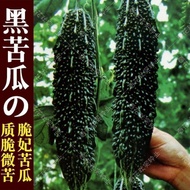 Hot-selling Fast Shipping [Black Pearl Bitter Gourd Seeds] Black Concubine Bitter Gourd Seeds Black 