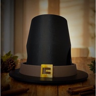 Cute Pilgrim Hat for Cat