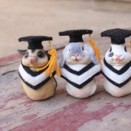 畢業寵物公仔擺設‧畢業禮物‧學士服‧兔.蜜袋鼯