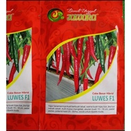 HSD -544 Benih Cabe Merah Besar LUWES F1 isi 10 Gram Bibit Cabe Merah