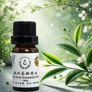 100%純澳洲 茶樹精油 天然無添加 淨化與防蚊 全效之選 贈擴香石