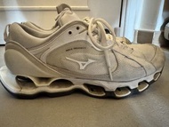 Mizuno wave prophecy