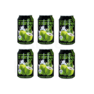 Pamovit 100% 純椰子水 330ml x 6罐 平行進口