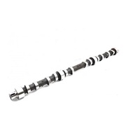 34305-10100 5I8058 CAMSHAFT FITS S6KT 3066 S6K E200B E320 E320B