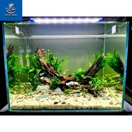 Mini fish tank 40cm x 20x 2cm - Includes 10 decorative accessories.