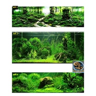 3D FISH POOL PAINTING - BACK PAINTING FOR AQUARIUM SIZE 30X20,30X30