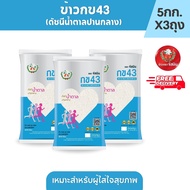 [ส่งฟรี] จัสมิน ข้าวกข43 (ดัชนีน้ำตาลปานกลาง) แท้ 100% ขนาด 5กก. X 3ถุง