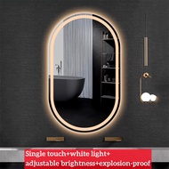 Intelligent Bathroom Mirror Elliptical Wall Mounted LED with Light Mirror for Makeup and Dressing Ba