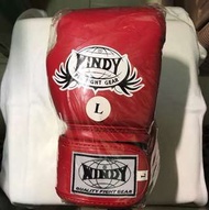 Windy 童裝大碼拳套 泰拳 西洋拳 Boxing Gloves