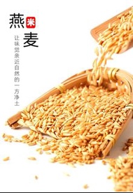 🌾[訂購-健康雜糧] 燕麥米 500g 🌾