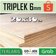 (6 pcs) 6mm PLYWOOD 20x30 cm