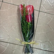 Single Red Rose Fillers