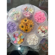 Edible Flowers Edible Flower Edible Flowers for Cake