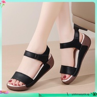 scholl women shoes Women's scholl casual sport shoes scholl ladies shoes Boat Shoes Loafers Shoes