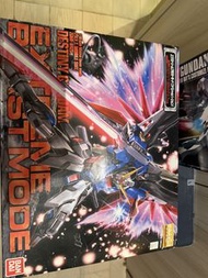 MG 命運高達 destiny