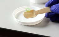 3.5oz Ice Cream Cup with Lid and Mini Spoon 100 pieces