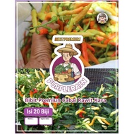 Bibit Premium Cabe Rawit Kara F1|Biji Benih Cabe Kara F1| Cabai Kara F1
