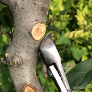 Maxwang Ball Section Ball Bonsai Scissors Bonsai Dual-use Diagonal Pliers Scissors Scissors Tool Pot