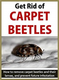 Savetron Ecotoxicology Carpet Beetle Vanish Bait Without Smell_Size A_Bedbugs Spray