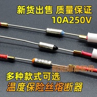 Universal Egg Steamer Electric Kettle Garment Steamer Hair Dryer Hot Air Gun Temperature Fuse Tube D