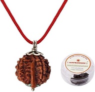 Green Velly Brown Ganesh Rudraksha Nepali Pendant Certified with Lab Report for Men and Women