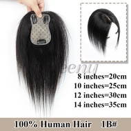 8-14 Inch Real Natural Brown Human Hair Topper 7x11cm Base Net Natural Scalp Top to Hide Bald or Whi