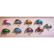 Fly bait..