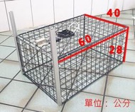電控籠 補貓籠 遙控誘捕籠 電動補貓籠 TNR