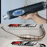 Ninja R RR SS DBS Carbon Kevlar Fiberknalpot