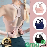 MY FIT BRA SPORT X SEAMLESS DPT