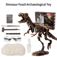 Archaeological Toys Dinosaur Fossil Excavation Toys Tyrannosaurus Triceratops Fossil Model