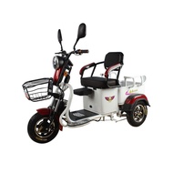 Electric Tricycle for Home Use, New Model, Small Size, Suitable for Transporting Children, Elderly, 