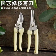 Stainless Steel Orchard Gardening Gardening Tools Outdoor Garden Pruning Shears Shears Shears Pickin