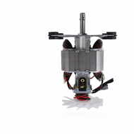 [China Plug Adapter Needed] Blender Motor Replacement Part