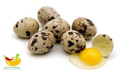 telur puyuh mentah - 1kg