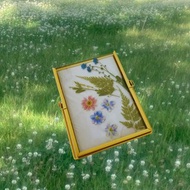 花園漫遊 乾燥花相框 | 壓花 乾燥花 相框 純手工 客製禮物