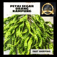 Petai fresh kampung / Petai Segar