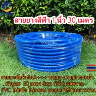 ZC&BF-สายยางรดน้ำ สายยางสีน้ำเงิน ขนาด 1นิ้ว (8 หุน) เหนียว หนา ทนทาน ยาว 30 เมตร
