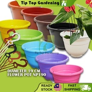 TIP TOP DIAMETER 19 CM FLOWER POT NP190 GARDENING PLASTIC POT PASU BUNGA PLASTIK