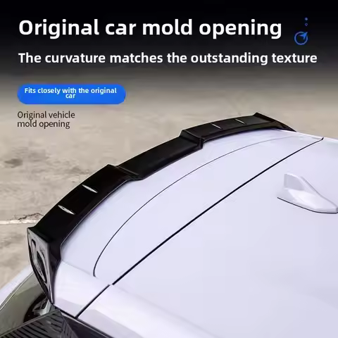 For BYD 2022-2025 Dolphin Accessories Dolphin Spoiler MC Sports Tail ABS Appearance Modification Fix