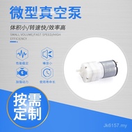 Vacuum Pump 528 DC Small Spray Hydrating Air Pump Mini Handheld Disinfection Gun Real Air Pump Oxyge