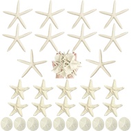 Queekay 15 Pieces Resin Starfish Sand Dollars 2.0 Inch 4.7 Inch Starfish 2.3 Inch Sand Dollars Craft