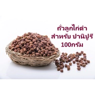 ถั่วลูกไก่ดำ Kala Chana - ถั่วลูกไก่สีน้ำตาล - Black Chana 100 กรัม Chick Pea 100g