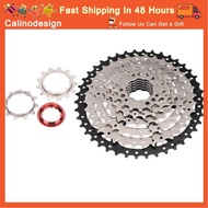 Calinodesign Bolany Mountain Bicycle Card Flywheel 8 Speed 42T Cassette Bike Accessory