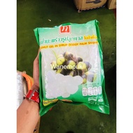 jelly kelapa thailand