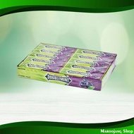 ดับเบิ้ลมินต์ หมากฝรั่งแบบแท่ง กลิ่นบลูเบอร์รี่มินต์ ริกลี่ย์ 15 กรัม x 20 แท่ง Double Mint Chewing 