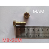 BOLT AND NUT 12 LENGTH 2CM M8Bu2CM M8 Bolt M8 Nut