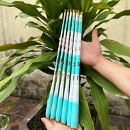 4H collapsible 43cm mini boat fishing rod, convenient and compact for fishing rivers, streams, ponds